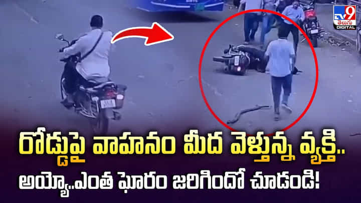 రోడ్డుపై స్కూటీ మీద వెళ్తున్న వ్యక్తి.. అయ్యో.. ఎంత ఘోరం జరిగిందో చూడండి! రోడ్డుపై స్కూటీ మీద వెళ్తున్న వ్యక్తి.. అయ్యో.. ఎంత ఘోరం జరిగిందో చూడండి!