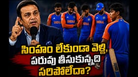సిగ్గుండాలి.. సింహానికి హ్యాండిచ్చారు.. కట్‌చేస్తే..