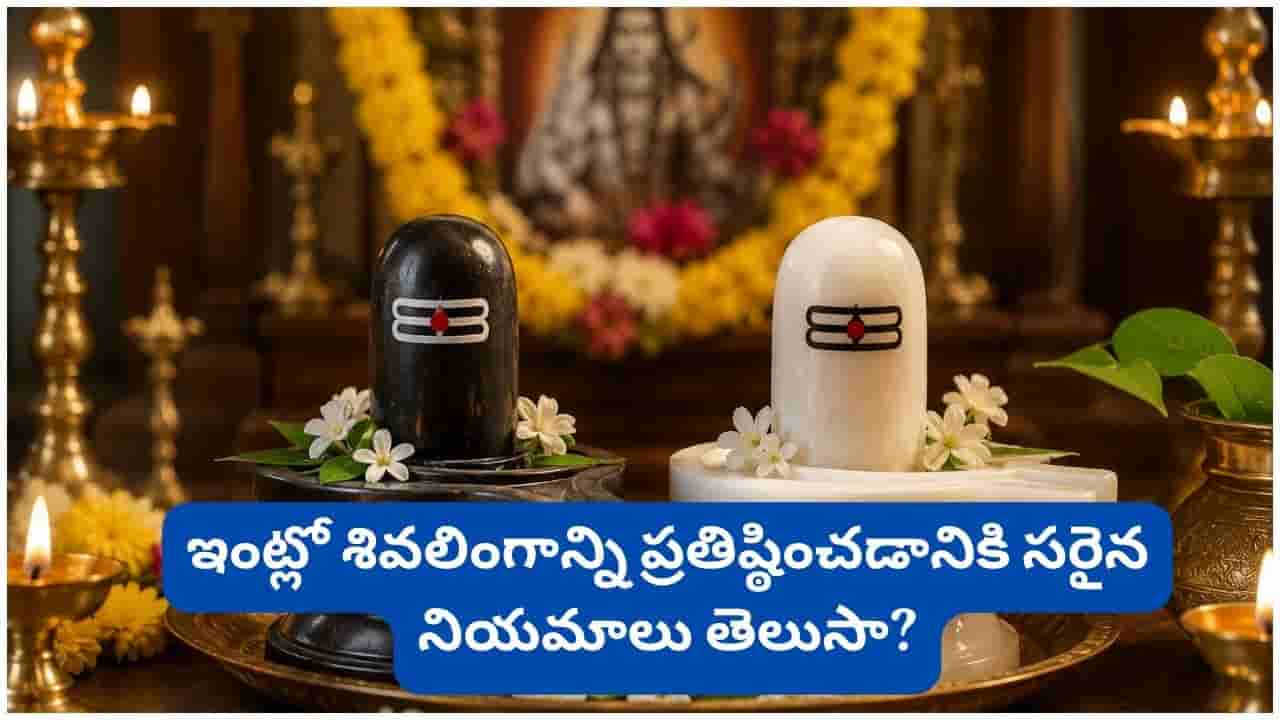 Shiva Lingam: నలుపు లేదా తెలుపు.. శివలింగాన్ని ఇంట్లో ఇలా ప్రతిష్ఠిస్తే శాంతి, ఐశ్వర్యం కలుగుతాయట!