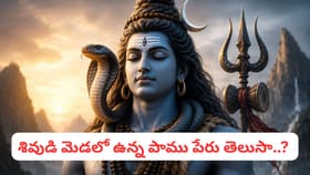 శివుడి మెడలో నాగుపాము ఎందుకు ఉంటుంది? దాని వెనుక ఉన్న రహస్యం..
