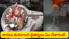 వర్షాలు కురవాలని శివుడికి జల దిగ్బంధం.. వీడియో చూశారా..?