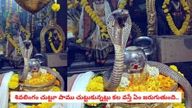 శివలింగం చుట్టూ పాము చుట్టుకున్నట్లు కల వస్తే ఏం జరుగుతుంది..