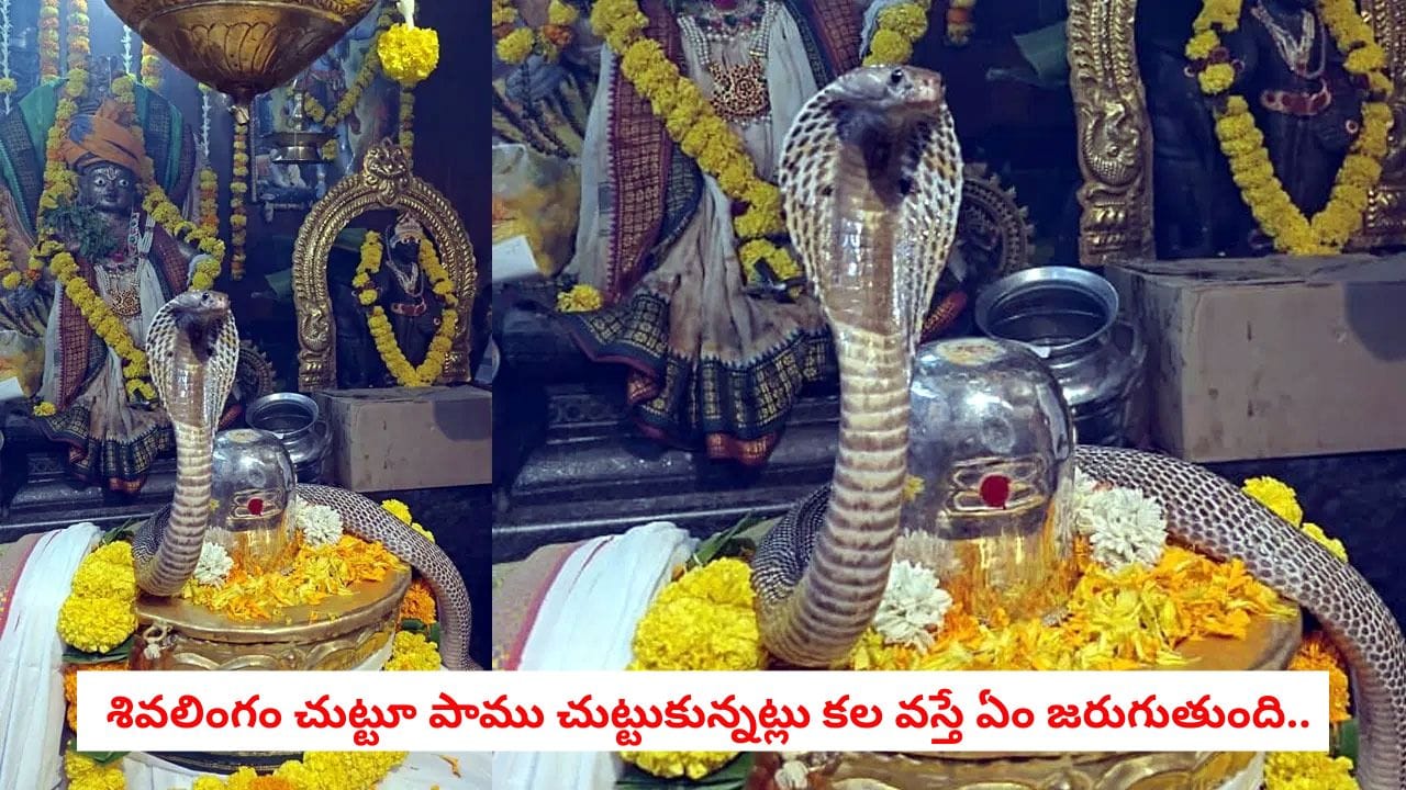 Lord Shiva: కలలో శివలింగం, పాము పదే పదే కనిపిస్తోందా.. స్వప్న శాస్త్రం ప్రకారం అర్థం ఇదే!