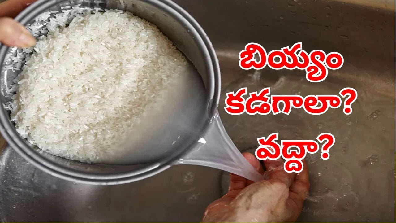 Rice Washing: అన్నం వండే ముందు బియ్యాన్ని కడగాలా? వద్దా..?.. కొత్త స్టడీలో తేలిందేంటి?