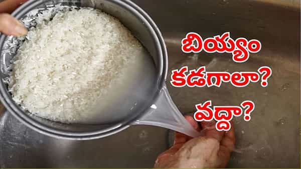 Rice Washing: అన్నం వండే ముందు బియ్యాన్ని కడగాలా? వద్దా..?.. కొత్త స్టడీలో తేలిందేంటి?