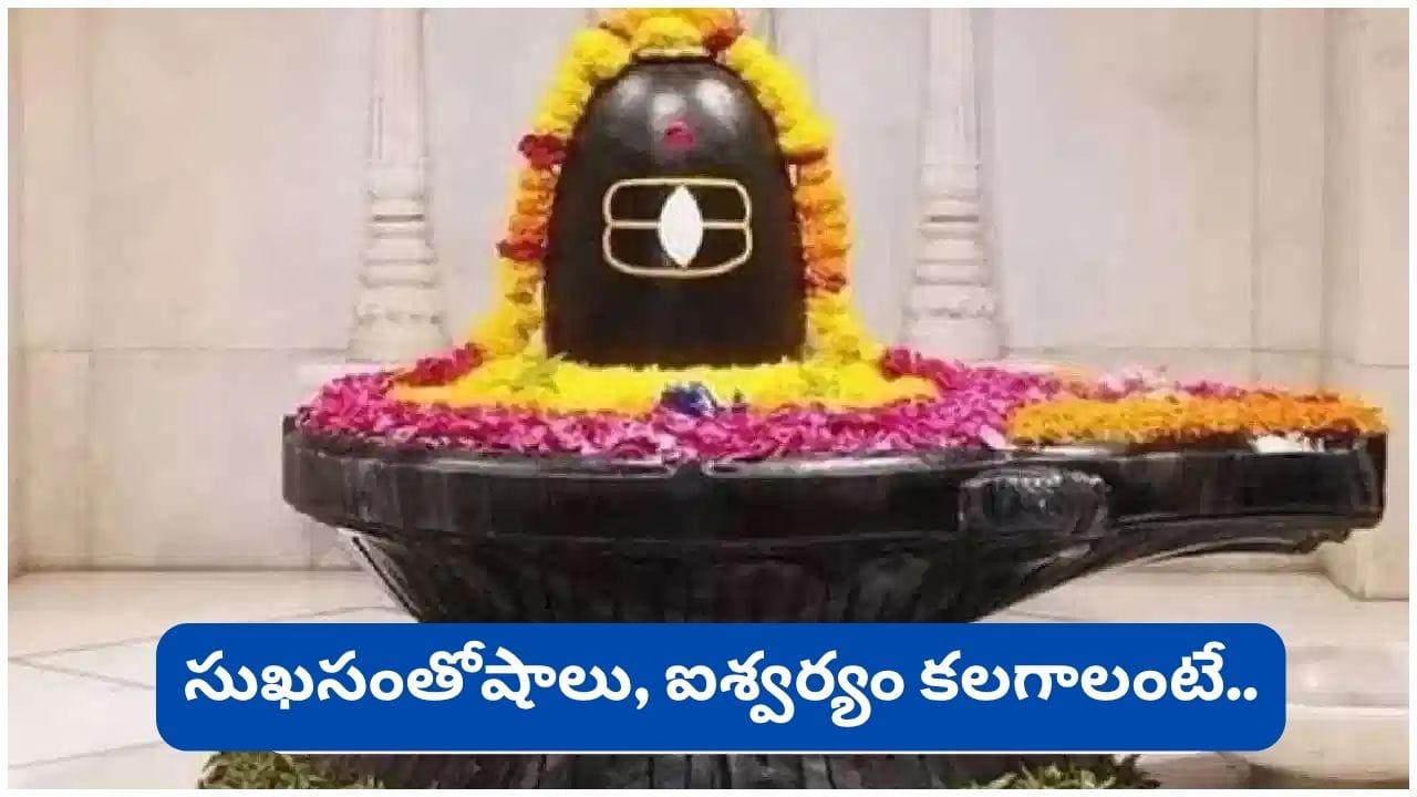 Shukra Pradosh Vrat: రేపే శుక్ర ప్రదోష వ్రతం.. ఈ 6 పొరపాట్లు చేస్తే శివుని అనుగ్రహం దూరమవుతుందట!