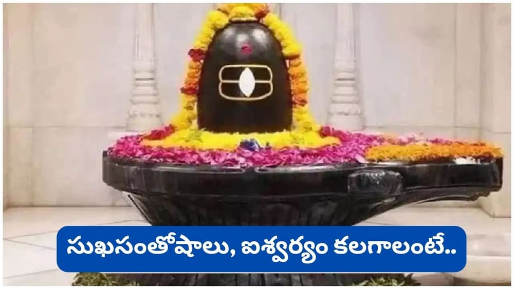 Shukra Pradosh Vrat: రేపే శుక్ర ప్రదోష వ్రతం.. ఈ 6 పొరపాట్లు చేస్తే శివుని అనుగ్రహం దూరమవుతుందట!