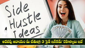 అదనపు ఆదాయం మీ చేతుల్లో: 3 'సైడ్ ఇన్‌కమ్' రహస్యాలు ఇవే