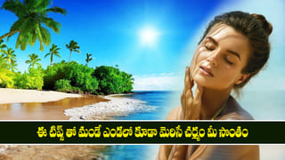 Skin Care Tips: మండే ఎండల్లో తిరిగిన ముఖం మెరిసిపోవాలంటే.. ఈ సింపుల్ స్కిన్ కేర్ టిప్స్ ఫాలో అవ్వండి