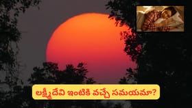 సూర్యాస్తమయం సమయంలో నిద్రపోవద్దని ఎందుకు చెబుతారు? అసలు కారణం..