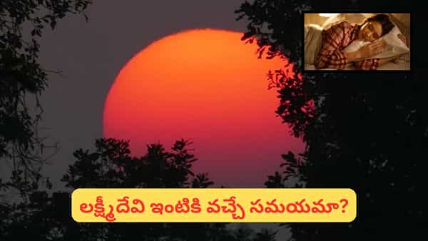 Vastu Tips: సూర్యాస్తమయం సమయంలో నిద్రపోతున్నారా? వాస్తు ప్రకారం ఇలా చేస్తే లక్ష్మీదేవి దూరమవుతుందట!