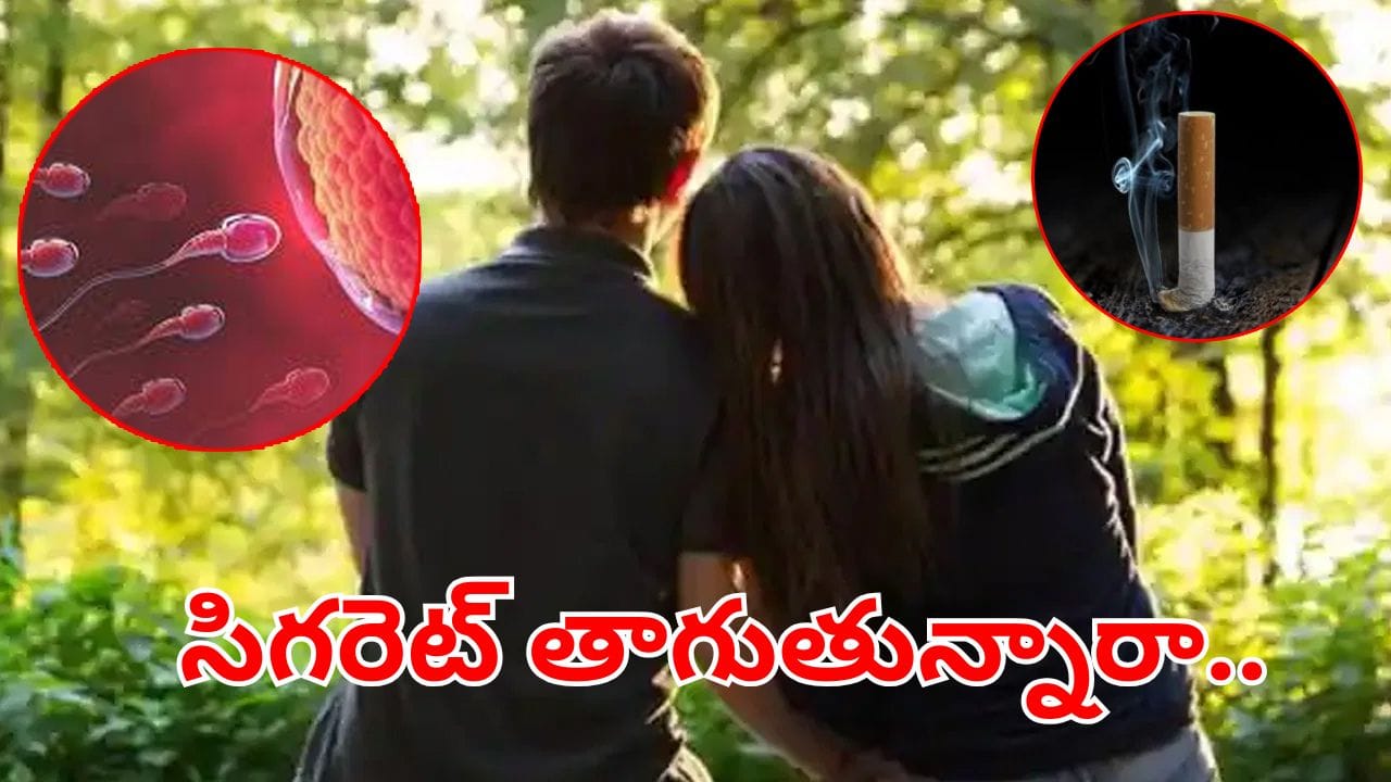 ప్చ్.. సిగరెట్ కాలుస్తున్నారా..? తండ్రి కావడం కష్టమేనట.. నిమ్స్ వైద్యుల పరిశోధనలో సంచలన విషయాలు