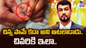 చిన్న పామే కదా అని ఆటలాడాడు.. చివరికి ఇలా..