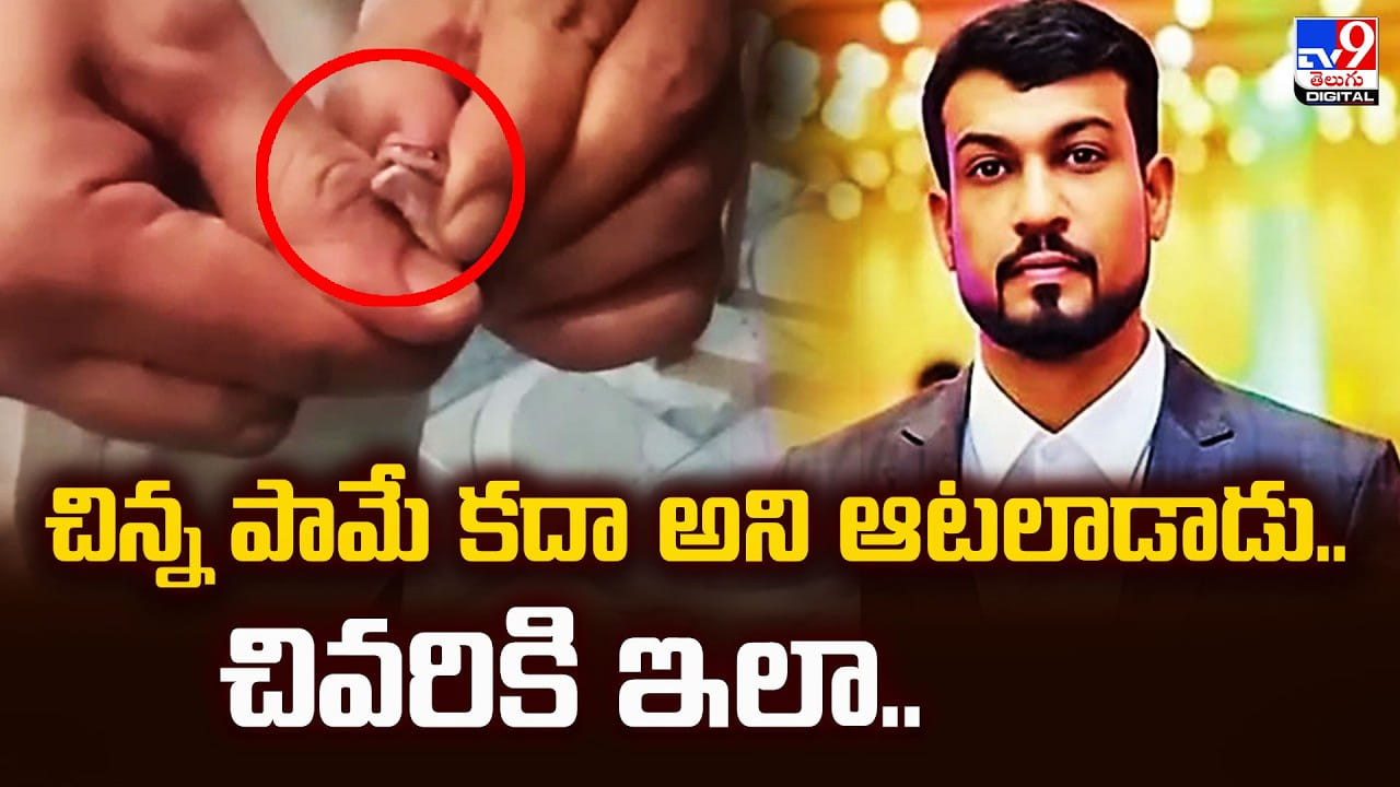 చిన్న పామే కదా అని ఆటలాడాడు.. చివరికి ఇలా.. చిన్న పామే కదా అని ఆటలాడాడు.. చివరికి ఇలా..