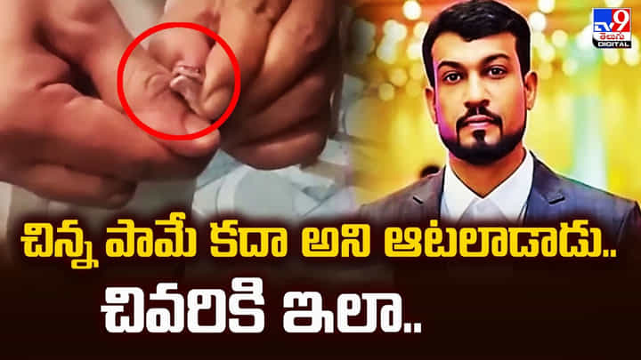 చిన్న పామే కదా అని ఆటలాడాడు.. చివరికి ఇలా.. చిన్న పామే కదా అని ఆటలాడాడు.. చివరికి ఇలా..