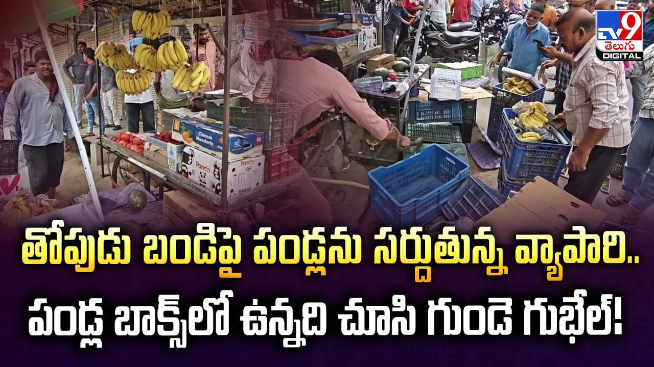 తోపుడు బండిపై పండ్లను సర్దుతున్న వ్యాపారి.. పండ్ల బాక్స్‌లో ఉన్నది చూసి గుండె గుభేల్‌!