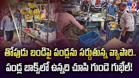 తోపుడు బండిపై పండ్లను సర్దుతున్న వ్యాపారి.. బాక్స్‌లో ఉన్నది చూసి