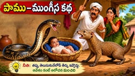 పాము - ముంగీస నీతి కథ: ఆవేశంలో తీసుకునే నిర్ణయం ఎంతో ప్రమాదకరం..!