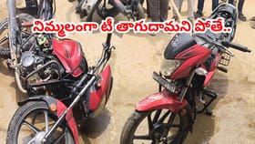 బైక్‌లో నుంచి అలికిడి.. దగ్గరకెళ్లి చూస్తే గుండె ఆగినంత పనైంది