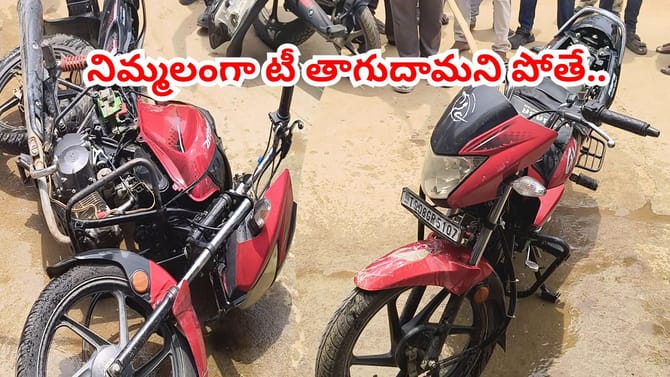 బైక్‌లో నుంచి అలికిడి.. దగ్గరకెళ్లి చూస్తే గుండె ఆగినంత పనైంది