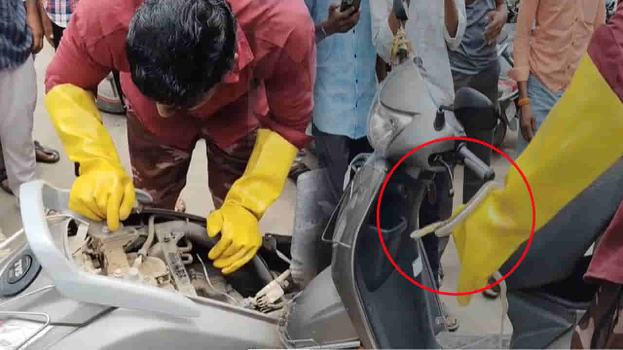 Viral Video: పా..పా..పాము..పార్క్ చేసిన బైక్లోకి దూరి హల్చల్..! ఏం జరిగిందో చూస్తే ఒళ్ళు జలదరిస్తుంది..!