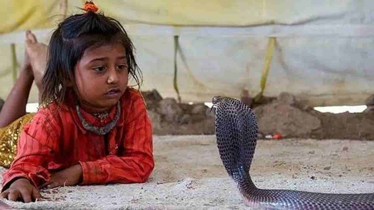 Snake Village: ఊరంతా పాములే.. కానీ ఎవ్వరినీ కరవవు.. ఈ వింత గ్రామం గురించి మీకు తెలుసా?