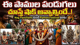 పాములంటే భయమా? ఈ 7 పండుగల్లో మాత్రం అవి దేవుళ్లు..మెడలో వేసుకుని