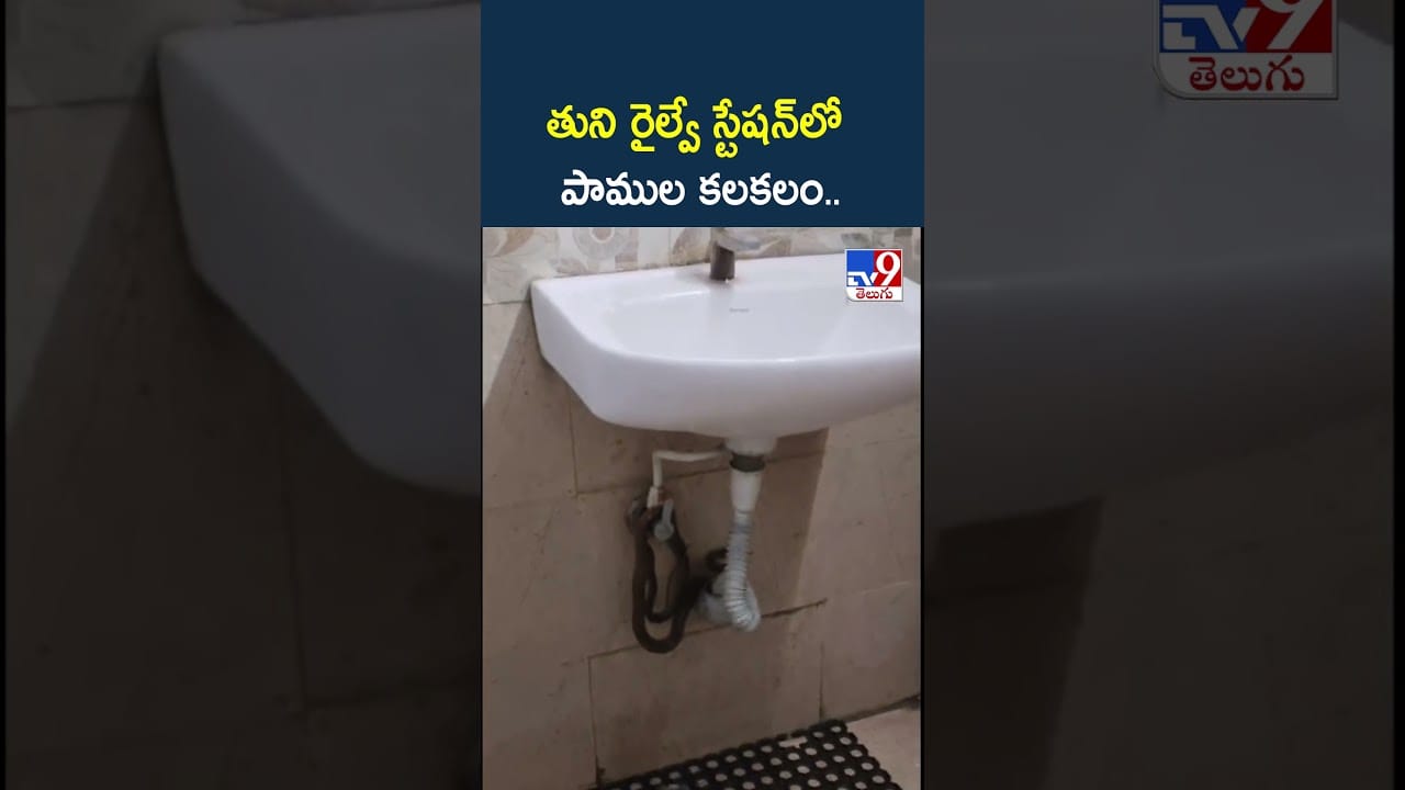 Watch: వామ్మో.. తుని రైల్వే స్టేషన్‌లో పాముల కలకలం..ఇదిగో వీడియో
