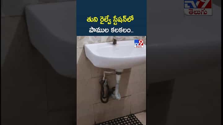 Watch: వామ్మో.. తుని రైల్వే స్టేషన్లో పాముల కలకలం..ఇదిగో వీడియో Watch: వామ్మో.. తుని రైల్వే స్టేషన్లో పాముల కలకలం..ఇదిగో వీడియో