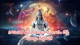 మీ రాశికి సరైన దానం ఏది? సోమవతి అమావాస్యనాడు చేస్తే పుణ్యం..