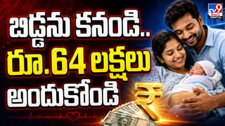 Video: ఐటీ జాబ్ వదిలేసి ఆటో డ్రైవర్‌గా మారిన మహిళా టెకీ.. నెలకు ఎంత సంపాదిస్తుందో తెలిస్తే అవాక్కే..