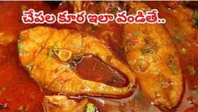 పాత రుచి.. పచ్చి చేపల పులుసు ఇలా చేస్తే ముక్క విరగదు..