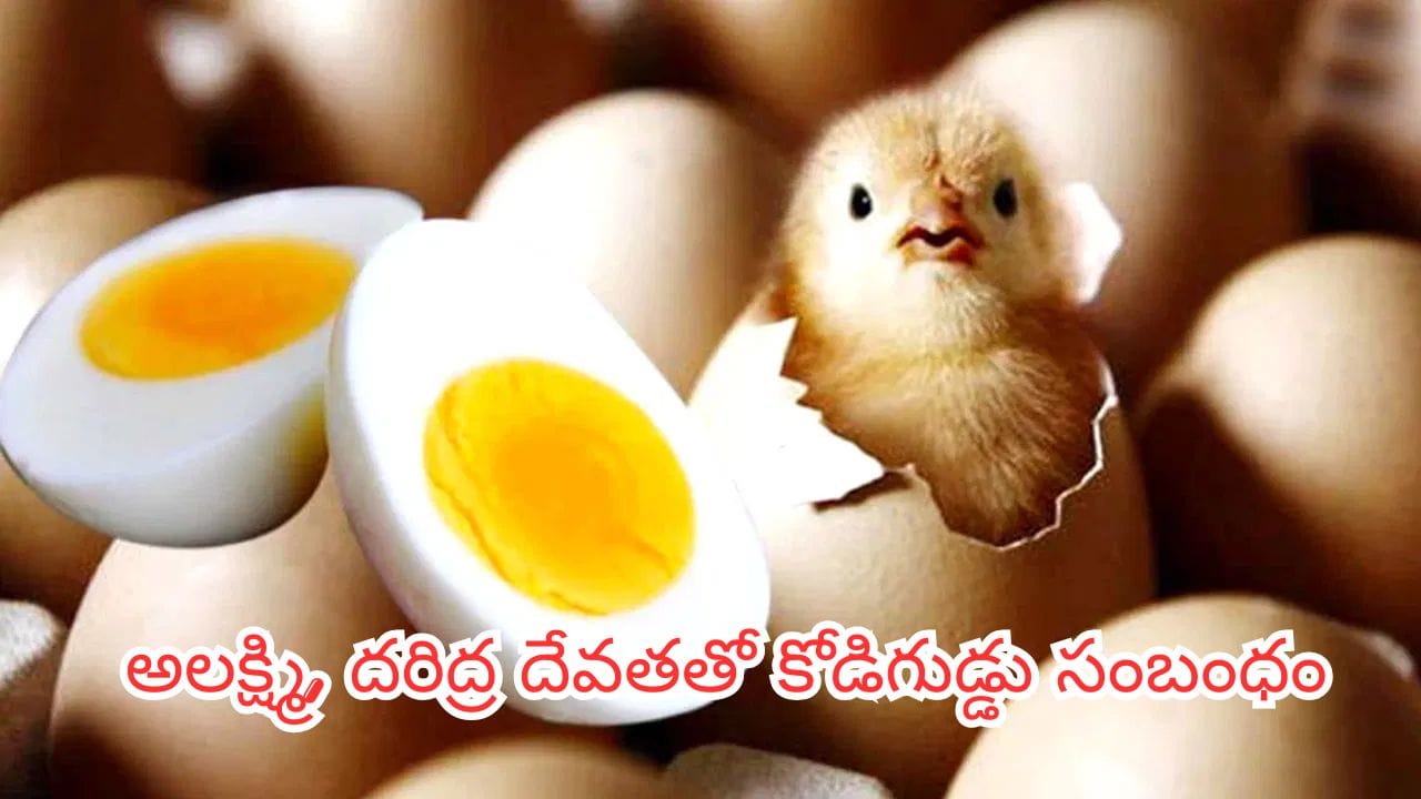 Eggs: కోడిగుడ్డు శాకాహారమా, మాంసాహారమా? ఇది తప్పక తెలుసుకోండి