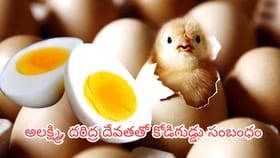 కోడిగుడ్డు శాకాహారమా, మాంసాహారమా? ఇది తప్పక తెలుసుకోండి