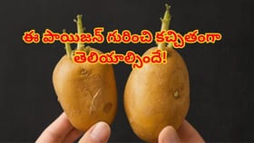 ఇలాంటి బంగాళాదుంపలు తింటున్నారా..? మీ ఆరోగ్యం బంగాళాఖాతమే..!
