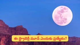 ఈరోజే ఆకాశంలో అద్భుతం.. స్ట్రాబెర్రీ మూన్ దర్శనం! ఎందుకు ప్రత్యేక