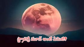 స్ట్రాబెర్రీ మూన్.. జూన్ 29 రాత్రి ఆకాశంలో అద్భుతం.. ఈ టైమ్‌లో..