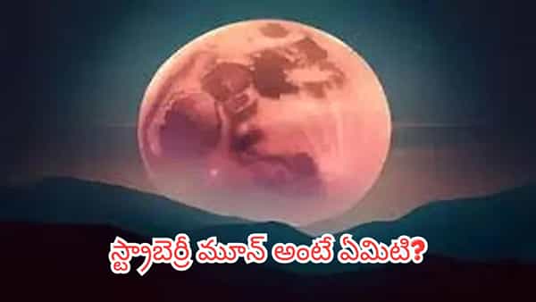 స్ట్రాబెర్రీ మూన్.. జూన్ 29 రాత్రి ఆకాశంలో అద్భుతం.. ఈ టైమ్లో చూస్తే భారీ చంద్రుడు కనిపిస్తాడు!