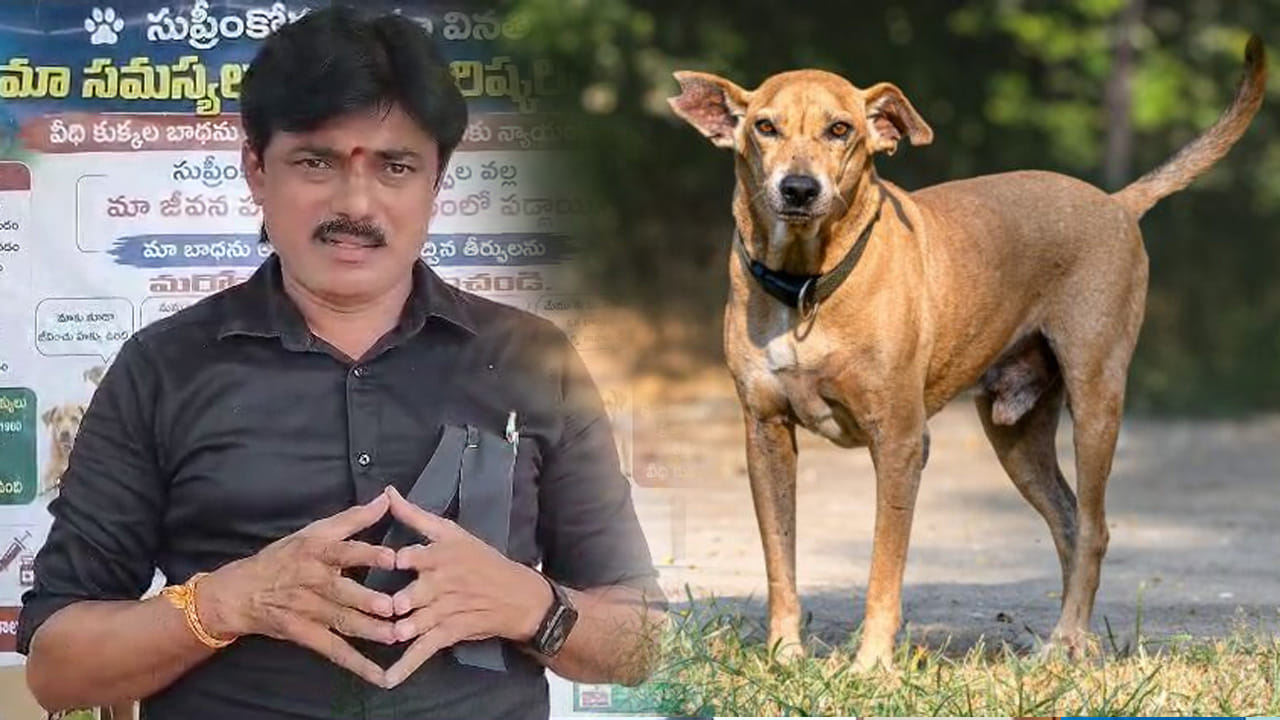 వీధి కుక్కల కోసం మౌన పోరాటం.. ప్లకార్డులతో మూగజీవాల హక్కులపై అవగాహన కల్పిస్తున్న ప్రశాంత్ వీధి కుక్కల కోసం మౌన పోరాటం.. ప్లకార్డులతో మూగజీవాల హక్కులపై అవగాహన కల్పిస్తున్న ప్రశాంత్