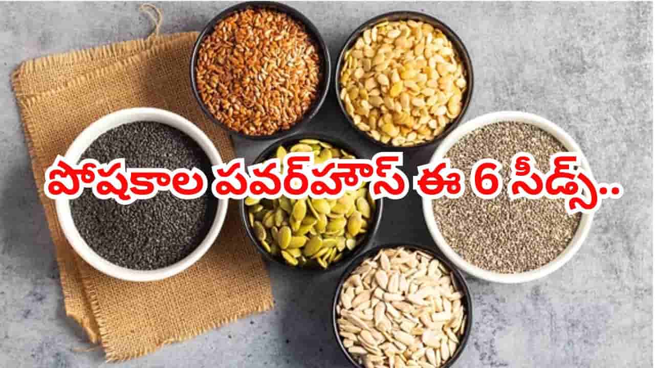 రోజూ ఈ 6 గింజలు తింటే చాలు.. జుట్టు, చర్మం, సంతానోత్పత్తి అద్భుత వరం..!