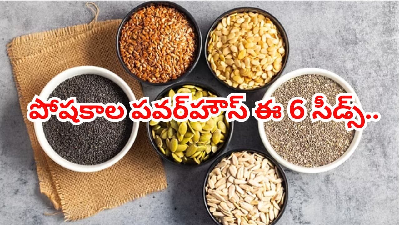 రోజూ ఈ 6 గింజలు తింటే చాలు.. జుట్టు, చర్మం, సంతానోత్పత్తి అద్భుత వరం..!