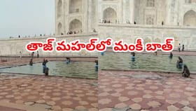 వానరాల మజాకా.. ఎండ వేడికి చెక్ పెడుతూ ఏం చేస్తున్నాయో చూస్తే...