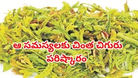 రేటెక్కువైనా అస్సలు వదలొద్దు.. చింత చిగురుతో ఆ సమస్యల చింతే ఉండదు