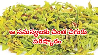 సీజన్ వచ్చేసింది.. అస్సలు వదలొద్దు.. చింత చిగురుతో ఆ సమస్యల చింతే ఉండదు..