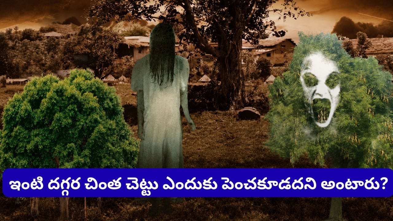 చింత చెట్టుపై నిజంగానే దెయ్యాలు ఉంటాయా? తరతరాలుగా వస్తున్న నమ్మకం వెనుక అసలు నిజం ఇదే!