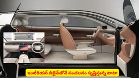 ఇంటీరియర్ డిజైన్‌తోనే సంచలనం సృష్టిస్తున్న టాటా