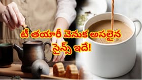 చాయ్‌ని ఎక్కువసేపు మరిగిస్తే చేదుగా మారుతుందా? దానికి కారణం ఇదే!