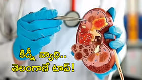 కిడ్నీ వ్యాధి మరణాల్లో తెలంగాణనే టాప్! కారణాలు ఇవే