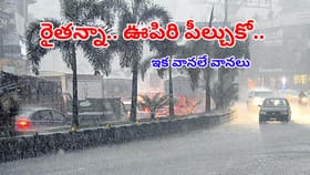 రైతులకు పండగే.. రాష్ట్రమంతటా విస్తరించిన నైరుతి రుతుపవనాలు
