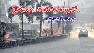 Weather Report: రైతులకు పండగే.. రాష్ట్రమంతటా విస్తరించిన నైరుతి రుతుపవనాలు.. ఇక వర్షాలే వర్షాలు..